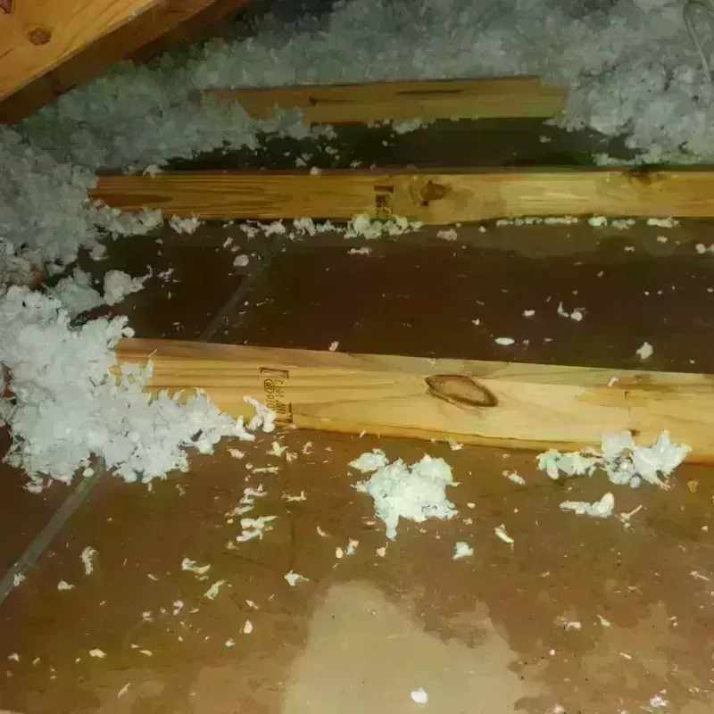 Attic Water Damage in Mount Olive, NC